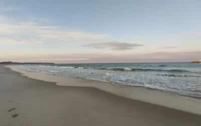 Herdman Hospitality beach sunset